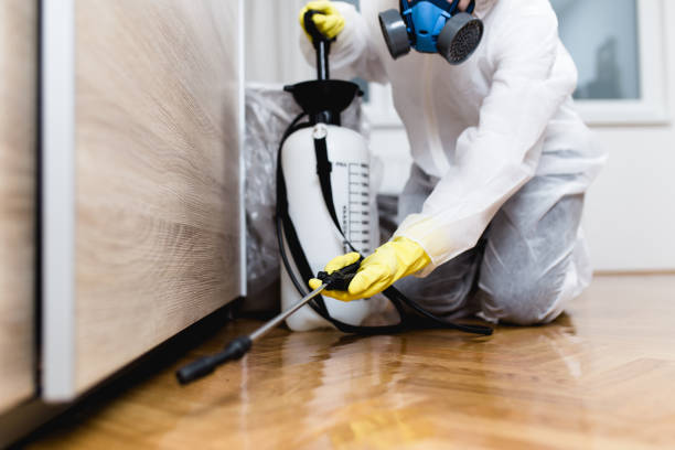 Best Pest Control Near Me  in Kenosha, WI