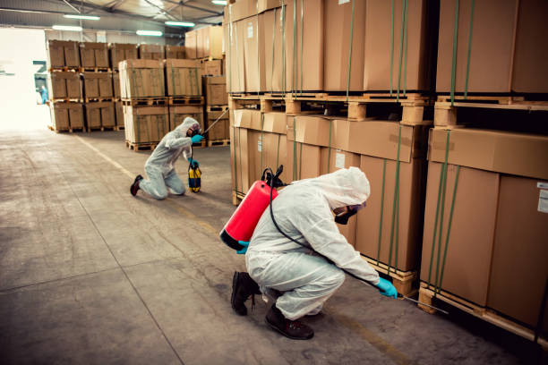 Best Termite Control Services  in Kenosha, WI