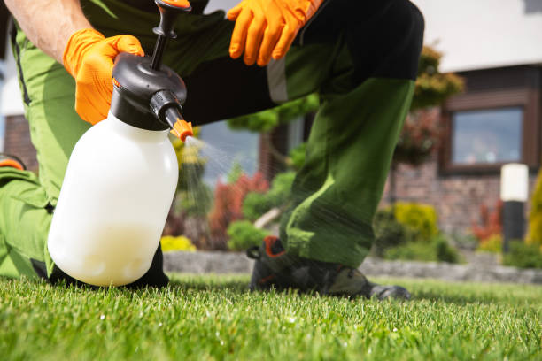 Best Flea Control Services  in Kenosha, WI