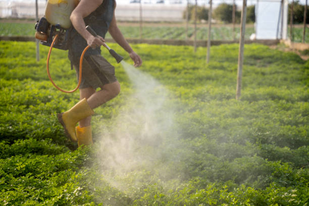 Best Residential Pest Control  in Kenosha, WI