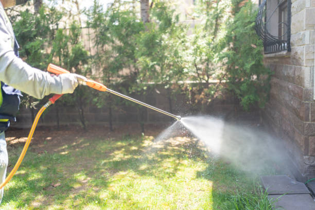 Bird Control in Kenosha, WI