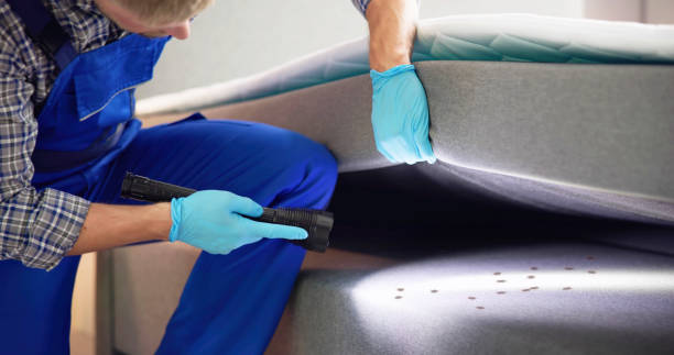 Best Pest Control for Businesses  in Kenosha, WI