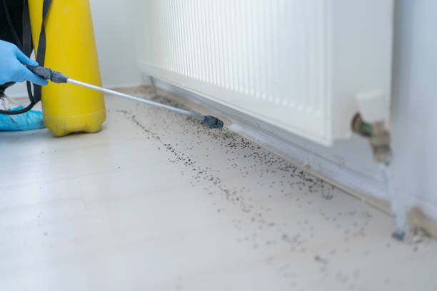 Best Mosquito Control Services  in Kenosha, WI