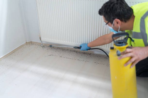 Best Residential Pest Control  in Kenosha, WI